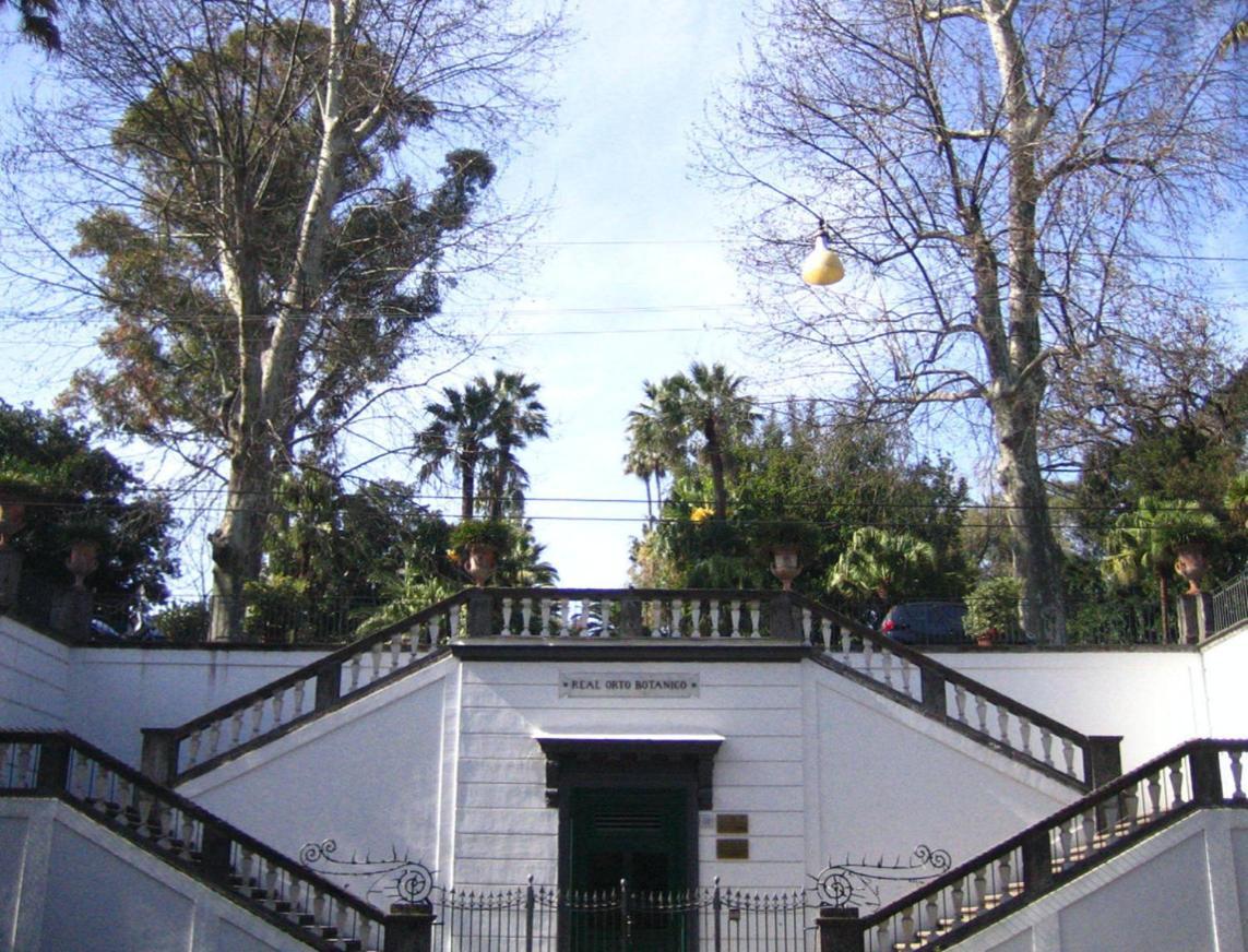 Ira House Apartamento Nápoles Exterior foto